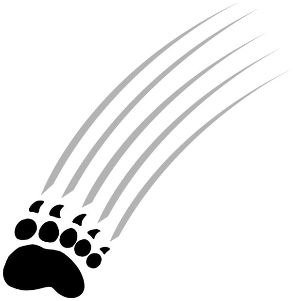Maine Black Bears 1999-Pres Alternate Logo v3 diy iron on heat transfer